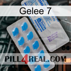 Jelly 7 new15